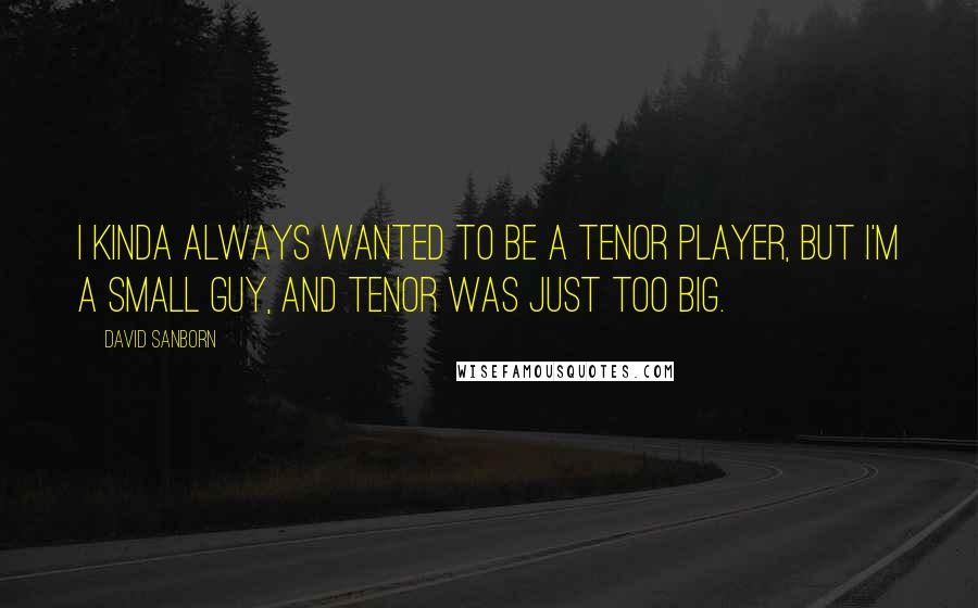 David Sanborn Quotes: I kinda always wanted to be a tenor player, but I'm a small guy, and tenor was just too big.