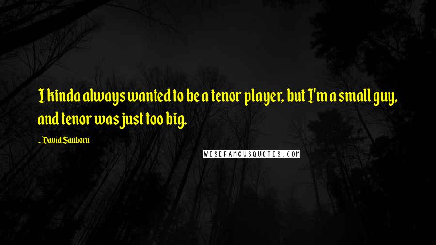 David Sanborn Quotes: I kinda always wanted to be a tenor player, but I'm a small guy, and tenor was just too big.