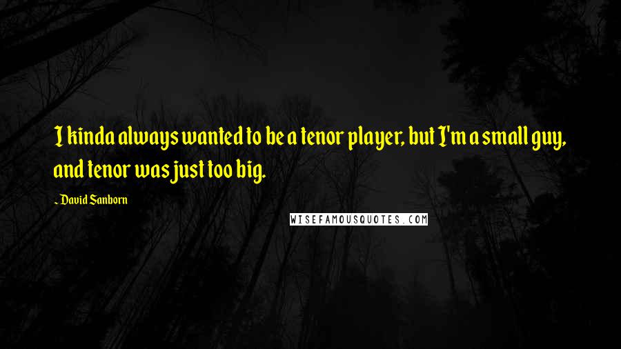 David Sanborn Quotes: I kinda always wanted to be a tenor player, but I'm a small guy, and tenor was just too big.