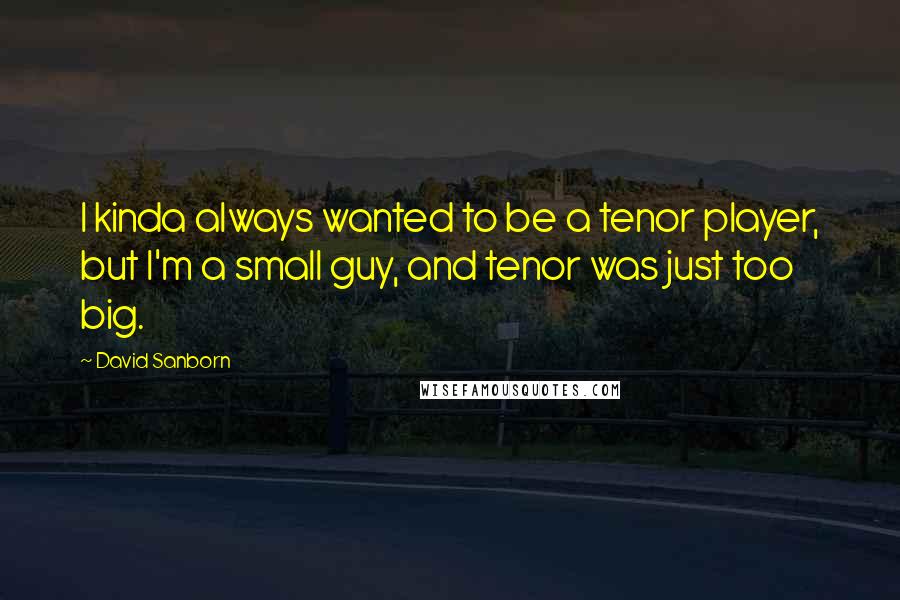 David Sanborn Quotes: I kinda always wanted to be a tenor player, but I'm a small guy, and tenor was just too big.