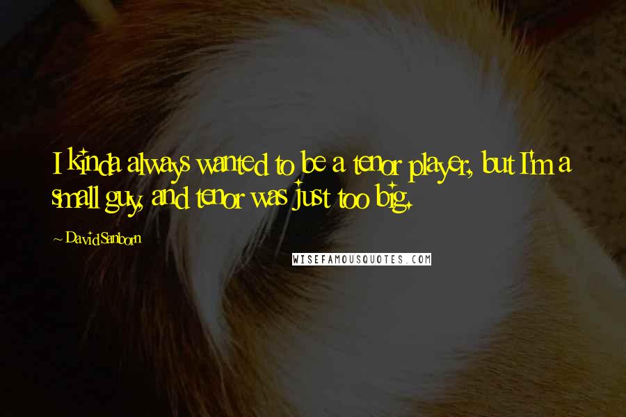 David Sanborn Quotes: I kinda always wanted to be a tenor player, but I'm a small guy, and tenor was just too big.