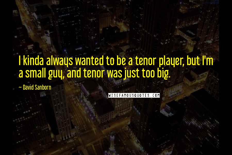 David Sanborn Quotes: I kinda always wanted to be a tenor player, but I'm a small guy, and tenor was just too big.