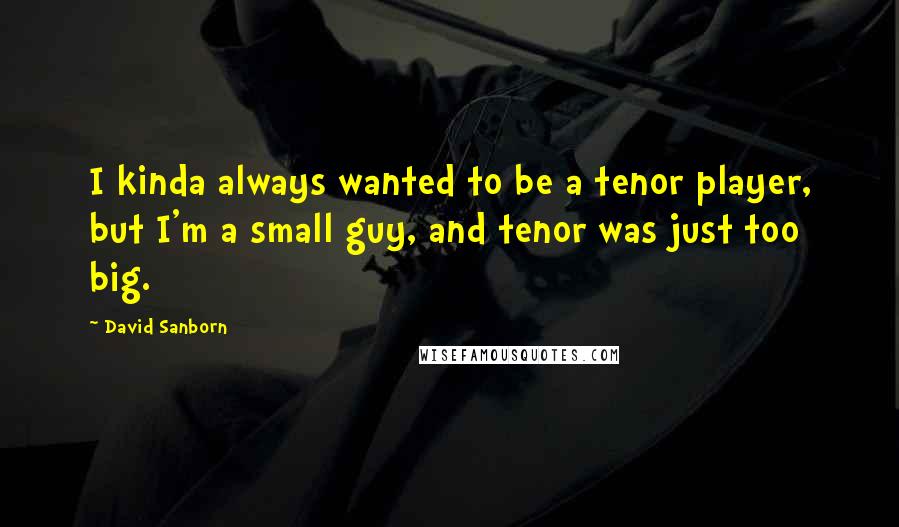 David Sanborn Quotes: I kinda always wanted to be a tenor player, but I'm a small guy, and tenor was just too big.