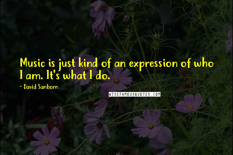 David Sanborn Quotes: Music is just kind of an expression of who I am. It's what I do.