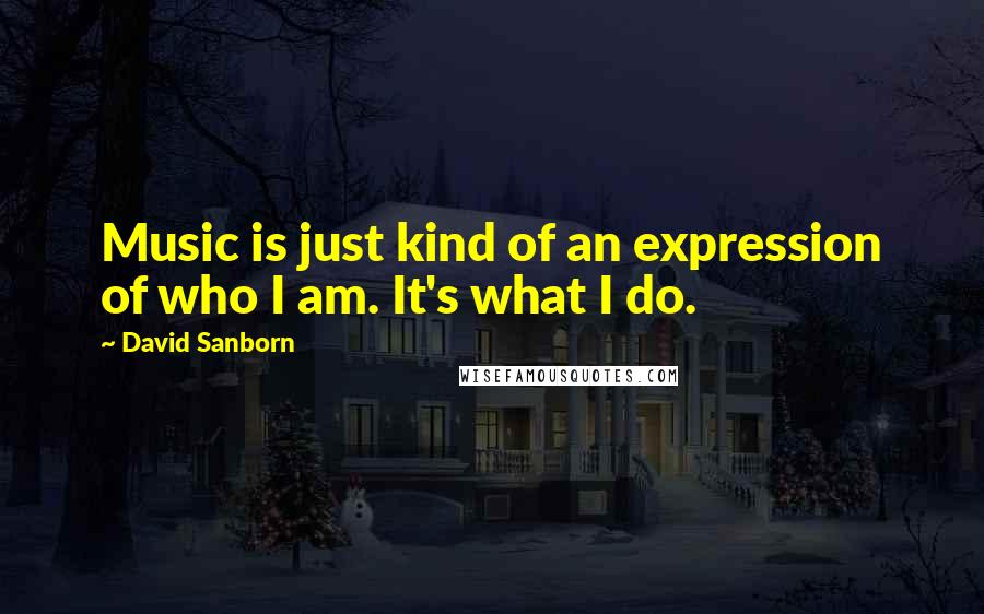 David Sanborn Quotes: Music is just kind of an expression of who I am. It's what I do.