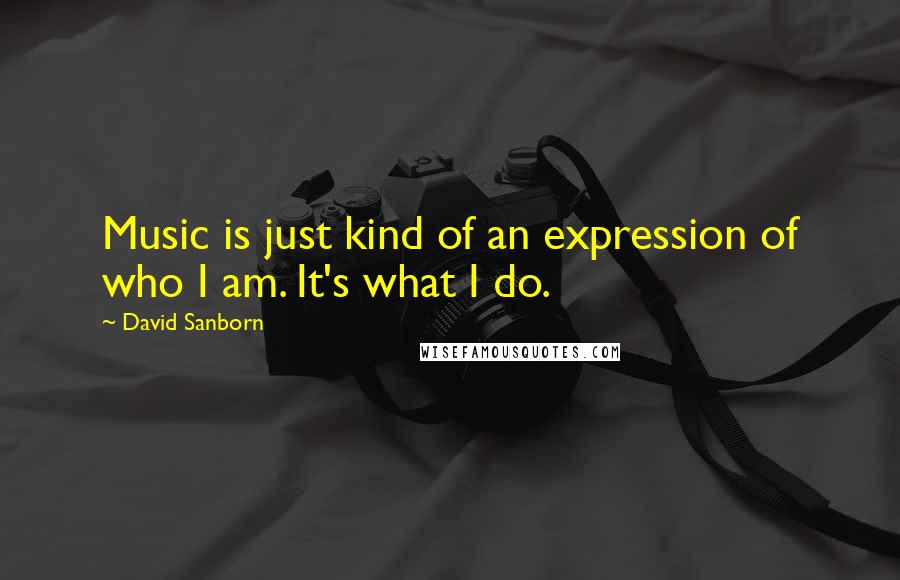 David Sanborn Quotes: Music is just kind of an expression of who I am. It's what I do.