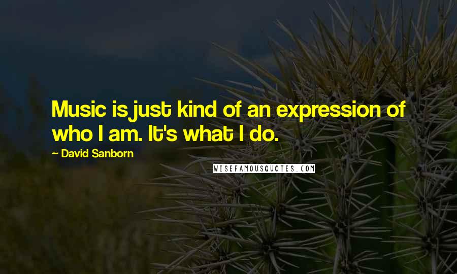 David Sanborn Quotes: Music is just kind of an expression of who I am. It's what I do.