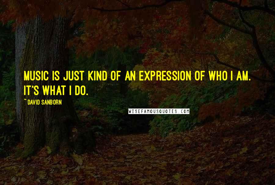 David Sanborn Quotes: Music is just kind of an expression of who I am. It's what I do.