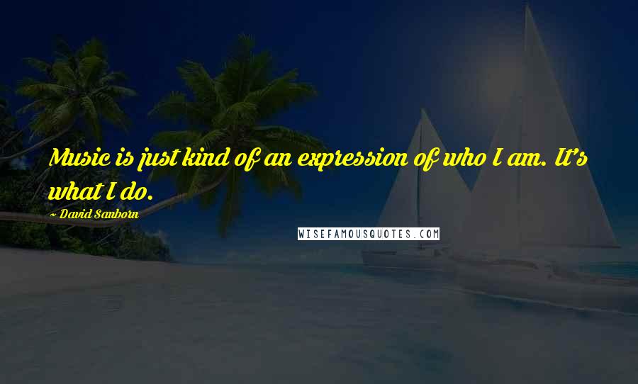 David Sanborn Quotes: Music is just kind of an expression of who I am. It's what I do.