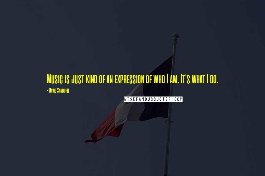 David Sanborn Quotes: Music is just kind of an expression of who I am. It's what I do.