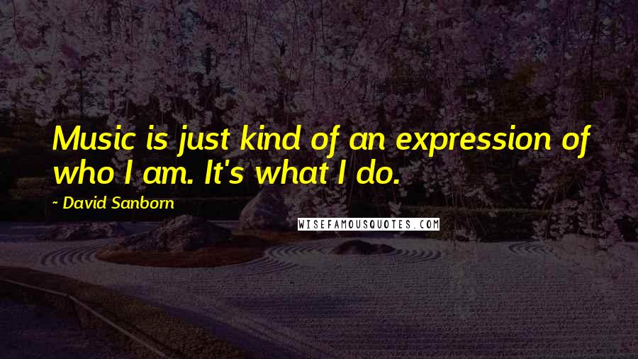 David Sanborn Quotes: Music is just kind of an expression of who I am. It's what I do.