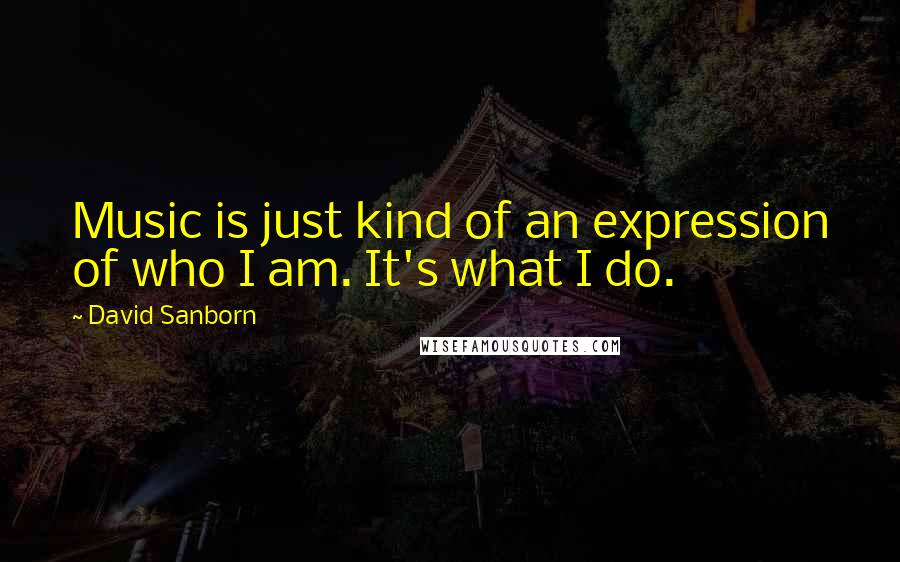 David Sanborn Quotes: Music is just kind of an expression of who I am. It's what I do.