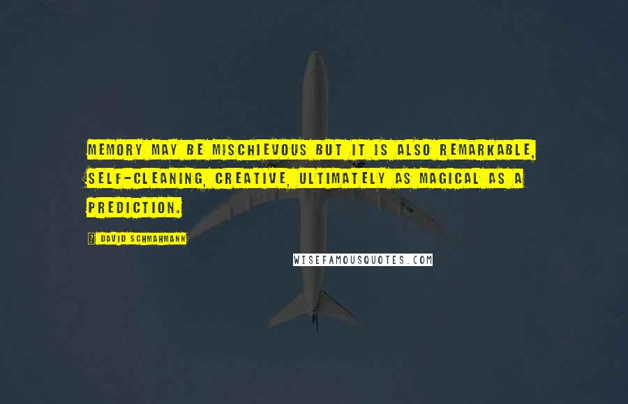 David Schmahmann Quotes: Memory may be mischievous but it is also remarkable, self-cleaning, creative, ultimately as magical as a prediction.