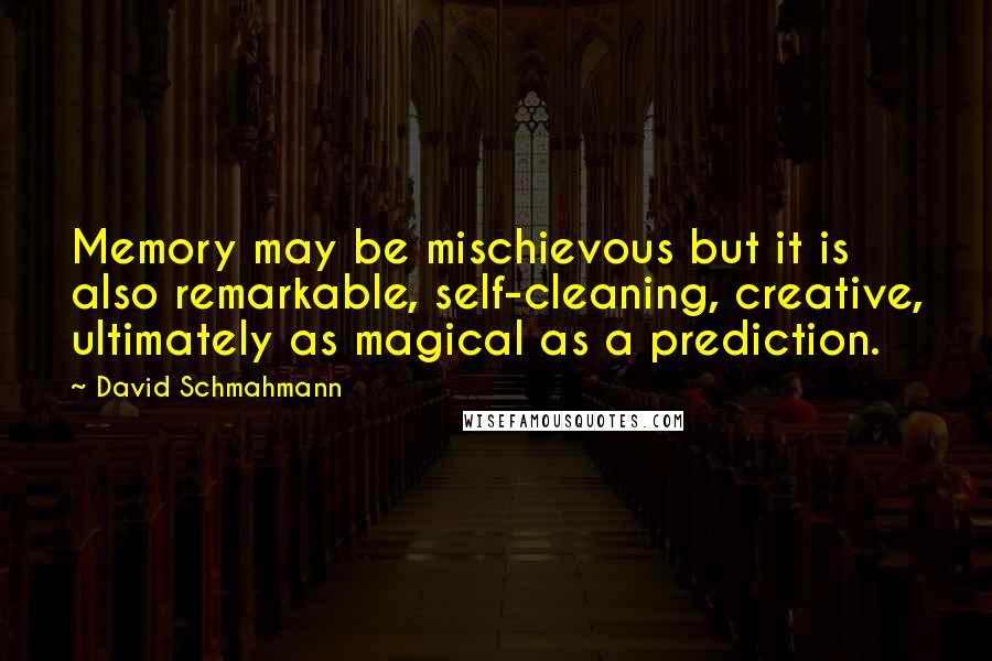 David Schmahmann Quotes: Memory may be mischievous but it is also remarkable, self-cleaning, creative, ultimately as magical as a prediction.