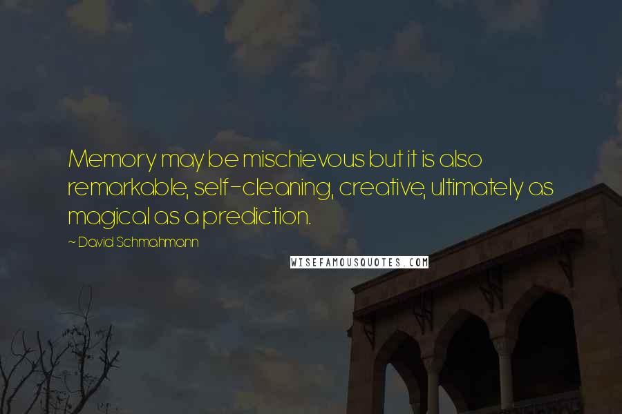 David Schmahmann Quotes: Memory may be mischievous but it is also remarkable, self-cleaning, creative, ultimately as magical as a prediction.