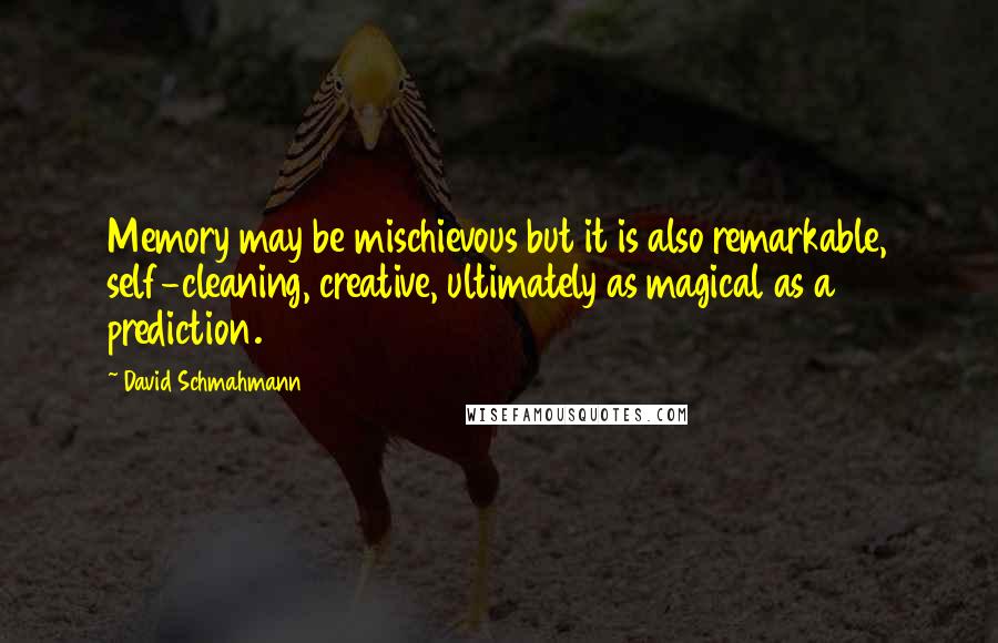 David Schmahmann Quotes: Memory may be mischievous but it is also remarkable, self-cleaning, creative, ultimately as magical as a prediction.