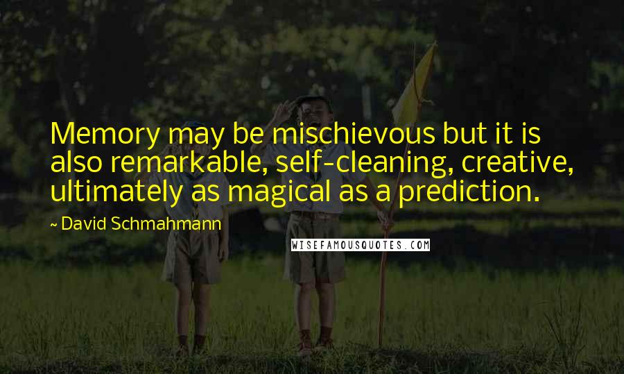 David Schmahmann Quotes: Memory may be mischievous but it is also remarkable, self-cleaning, creative, ultimately as magical as a prediction.