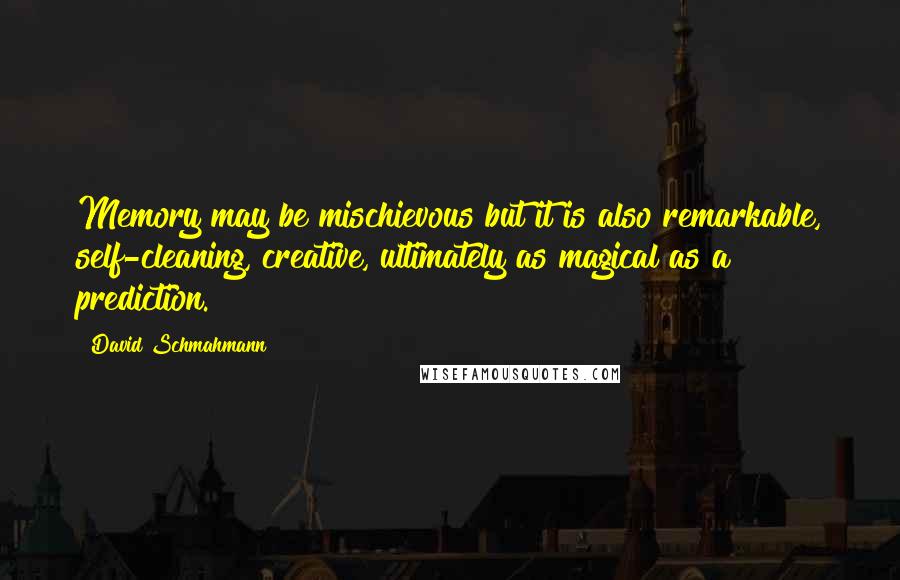 David Schmahmann Quotes: Memory may be mischievous but it is also remarkable, self-cleaning, creative, ultimately as magical as a prediction.