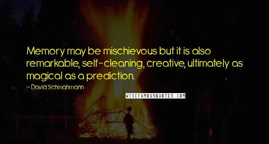 David Schmahmann Quotes: Memory may be mischievous but it is also remarkable, self-cleaning, creative, ultimately as magical as a prediction.