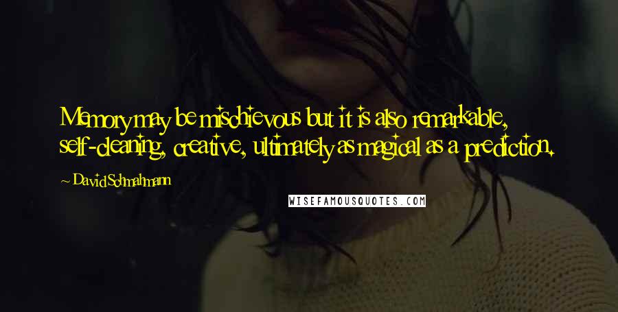 David Schmahmann Quotes: Memory may be mischievous but it is also remarkable, self-cleaning, creative, ultimately as magical as a prediction.