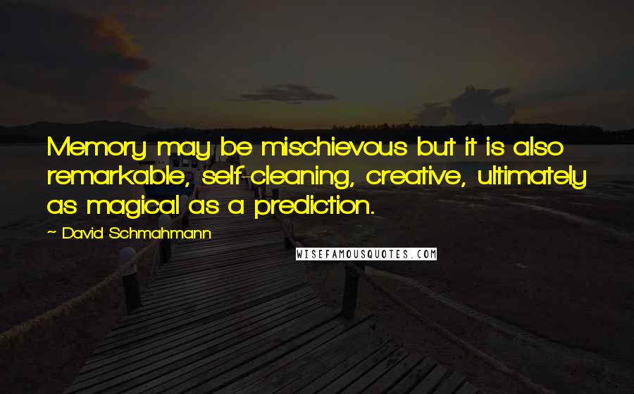 David Schmahmann Quotes: Memory may be mischievous but it is also remarkable, self-cleaning, creative, ultimately as magical as a prediction.