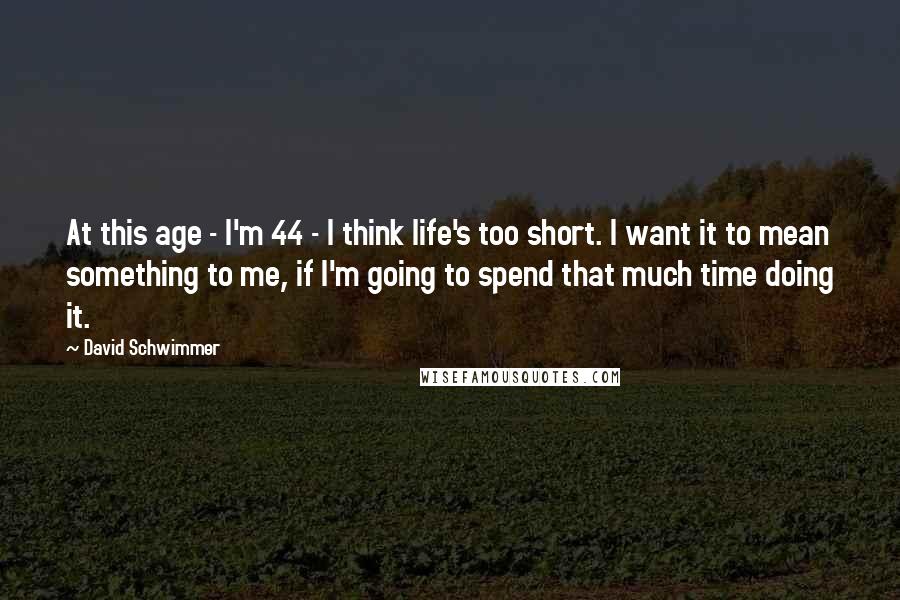 David Schwimmer Quotes: At this age - I'm 44 - I think life's too short. I want it to mean something to me, if I'm going to spend that much time doing it.