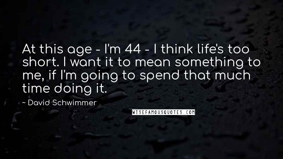 David Schwimmer Quotes: At this age - I'm 44 - I think life's too short. I want it to mean something to me, if I'm going to spend that much time doing it.