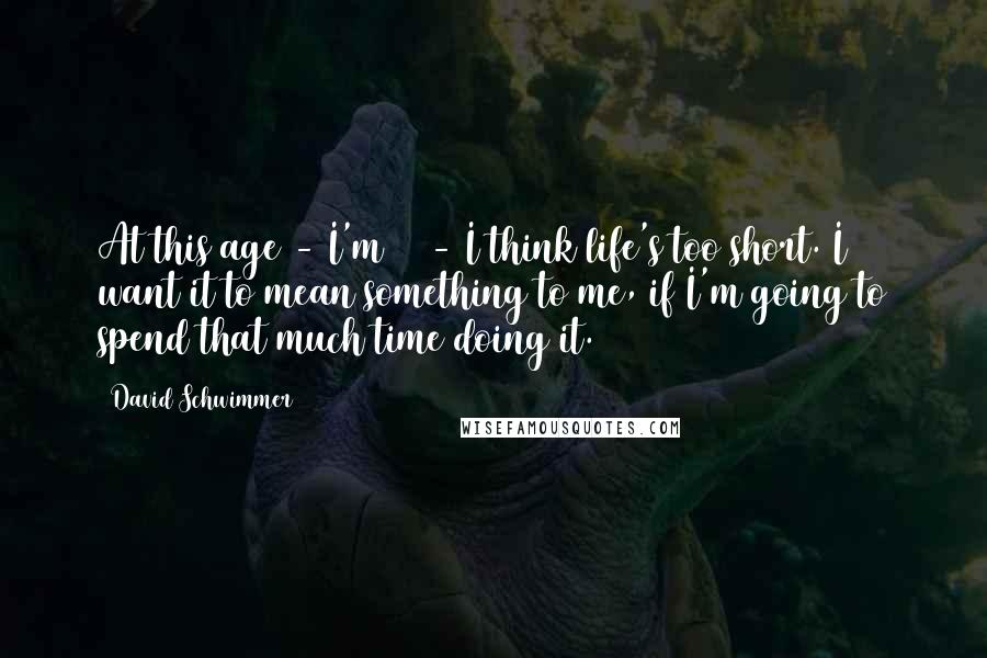 David Schwimmer Quotes: At this age - I'm 44 - I think life's too short. I want it to mean something to me, if I'm going to spend that much time doing it.