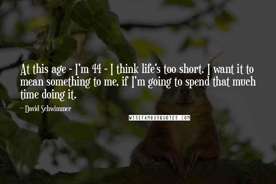 David Schwimmer Quotes: At this age - I'm 44 - I think life's too short. I want it to mean something to me, if I'm going to spend that much time doing it.