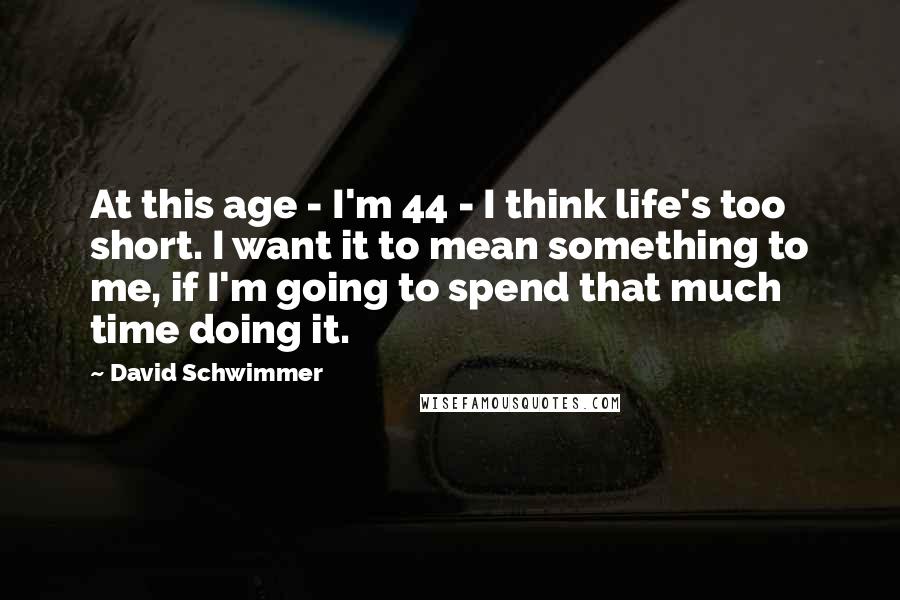 David Schwimmer Quotes: At this age - I'm 44 - I think life's too short. I want it to mean something to me, if I'm going to spend that much time doing it.