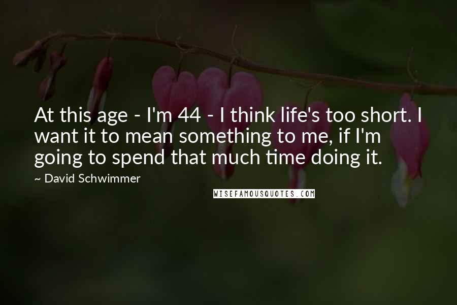 David Schwimmer Quotes: At this age - I'm 44 - I think life's too short. I want it to mean something to me, if I'm going to spend that much time doing it.