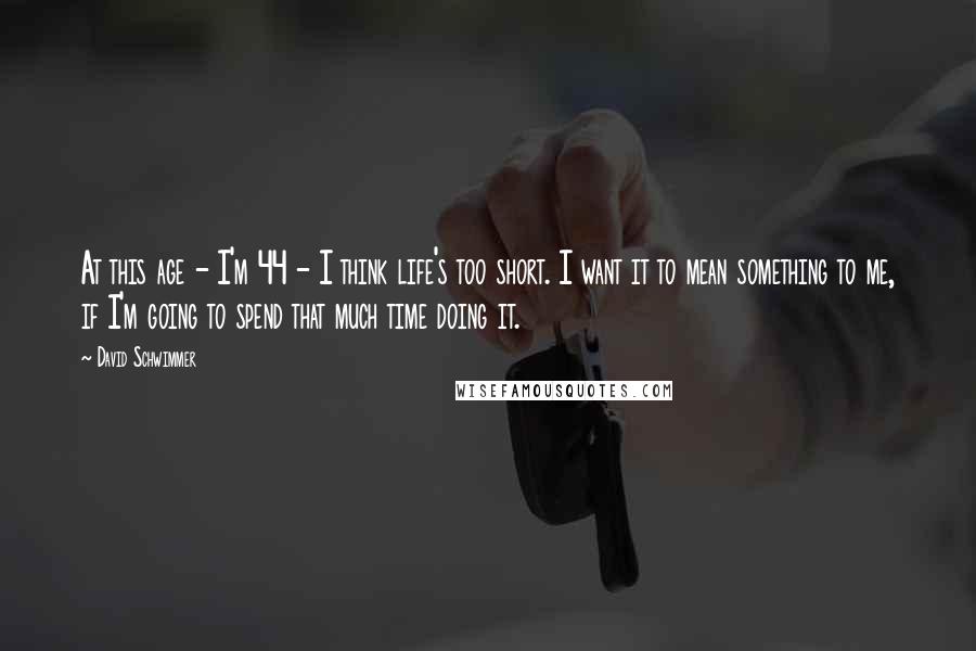 David Schwimmer Quotes: At this age - I'm 44 - I think life's too short. I want it to mean something to me, if I'm going to spend that much time doing it.