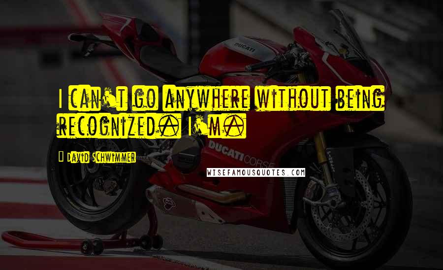 David Schwimmer Quotes: I can't go anywhere without being recognized. I'm.