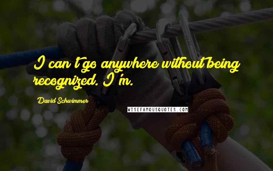 David Schwimmer Quotes: I can't go anywhere without being recognized. I'm.