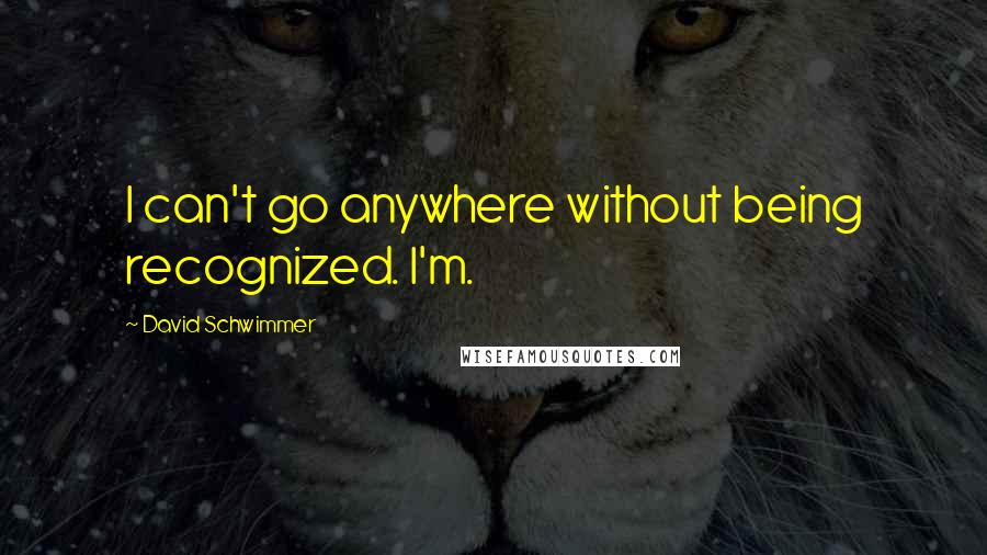 David Schwimmer Quotes: I can't go anywhere without being recognized. I'm.