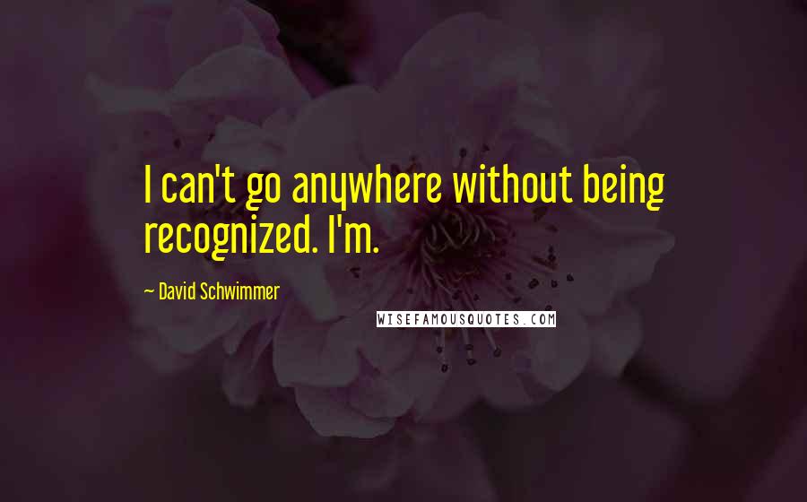 David Schwimmer Quotes: I can't go anywhere without being recognized. I'm.