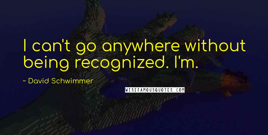 David Schwimmer Quotes: I can't go anywhere without being recognized. I'm.