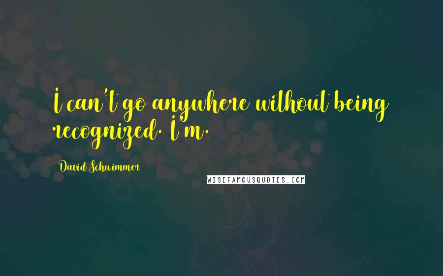 David Schwimmer Quotes: I can't go anywhere without being recognized. I'm.