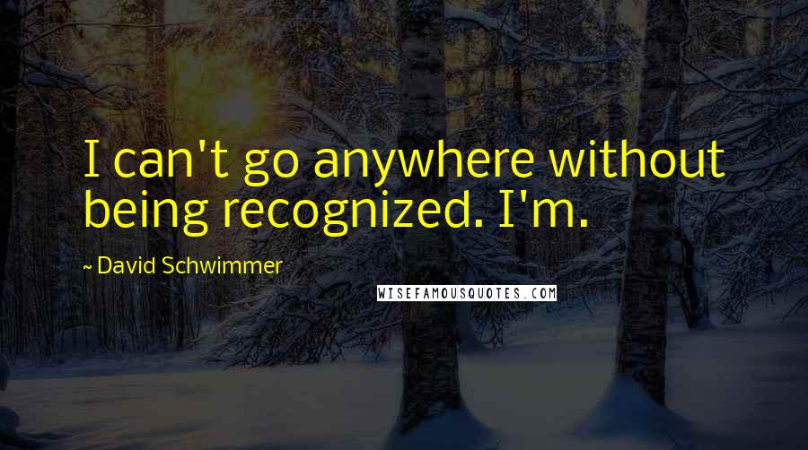 David Schwimmer Quotes: I can't go anywhere without being recognized. I'm.