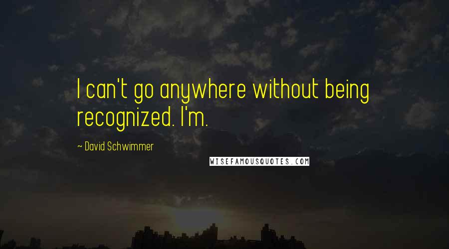 David Schwimmer Quotes: I can't go anywhere without being recognized. I'm.