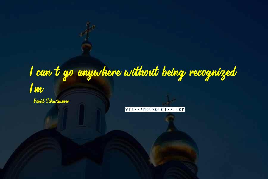 David Schwimmer Quotes: I can't go anywhere without being recognized. I'm.