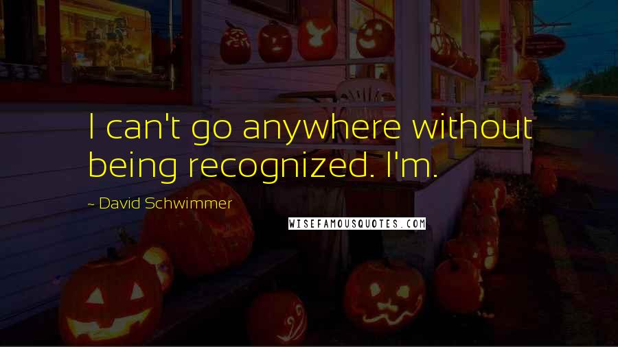David Schwimmer Quotes: I can't go anywhere without being recognized. I'm.