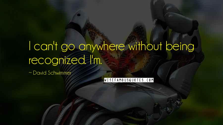 David Schwimmer Quotes: I can't go anywhere without being recognized. I'm.