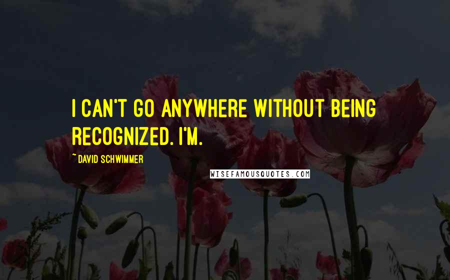 David Schwimmer Quotes: I can't go anywhere without being recognized. I'm.