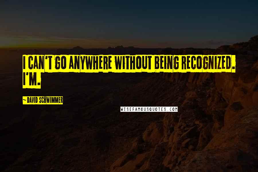 David Schwimmer Quotes: I can't go anywhere without being recognized. I'm.