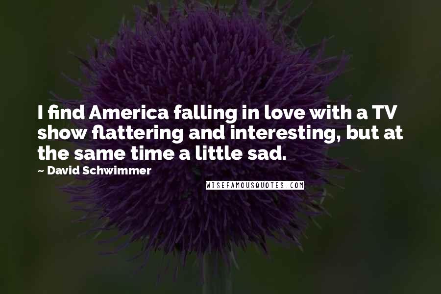 David Schwimmer Quotes: I find America falling in love with a TV show flattering and interesting, but at the same time a little sad.