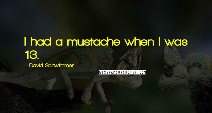 David Schwimmer Quotes: I had a mustache when I was 13.