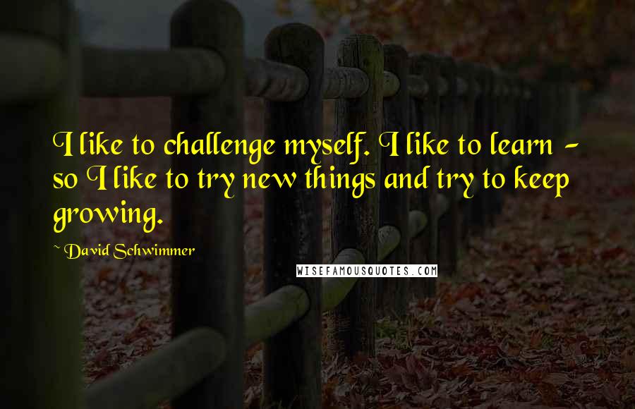 David Schwimmer Quotes: I like to challenge myself. I like to learn - so I like to try new things and try to keep growing.