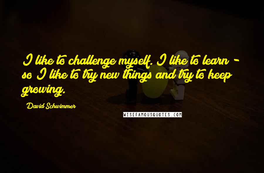 David Schwimmer Quotes: I like to challenge myself. I like to learn - so I like to try new things and try to keep growing.