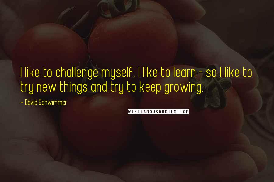 David Schwimmer Quotes: I like to challenge myself. I like to learn - so I like to try new things and try to keep growing.